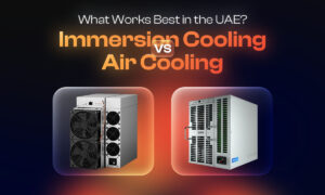Immersion Cooling vs Air Cooling - BitHash Crypto Mining Company in UAE
