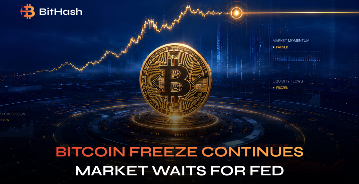 Bitcoin freeze continues